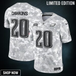 Men's Philadelphia Eagles Brian Dawkins Nike Arctic Camo Salute To Service Retired Player Limited Jersey