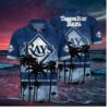 Tampa Bay Rays Iconic Palm Sunset Hawaiian Shirt