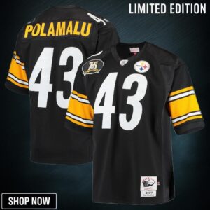 Troy Polamalu Pittsburgh Steelers Mitchell & Ness 2007 Authentic Retired Player Jersey - Black Nfl