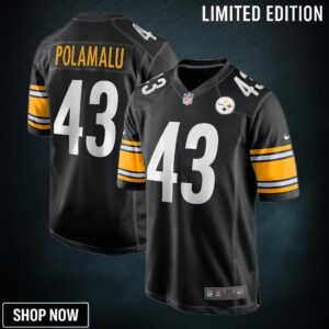 Troy Polamalu Pittsburgh Steelers Retired Player Game Jersey - Black Nfl