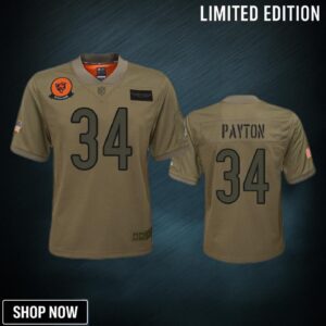 Youth Chicago Bears Walter Payton Camo 2019 Salute To Service Game Jersey